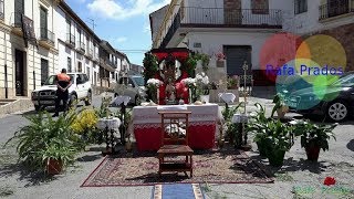 Procesión del Corpus Christi en Íllora (Granada). 3-6-2018