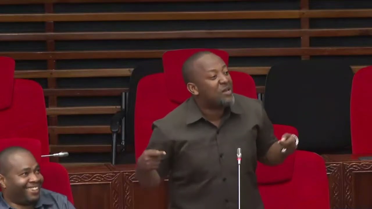 Mbunge Ataka Serikali Kutoa Taarifa Mradi wa LNG Lindi