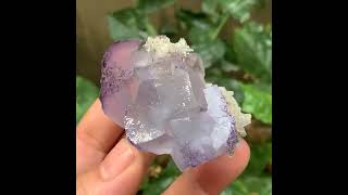 Video preview: Blue Purple-Edged Fluorite — Yaogangxian Mine, Hunan, China | Natural Mineral Specimen