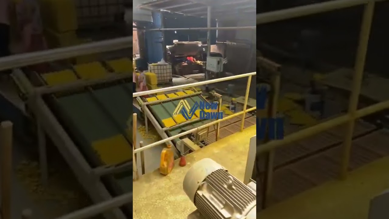 5000pcs automatic egg tray machine with metal dryer made in China