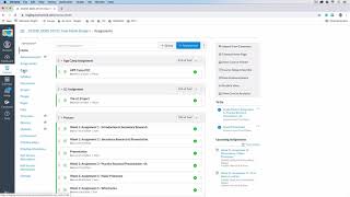 Integrating zoom into canvas