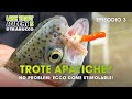 Pescare TROTA LAGO: ECCO COME stimolare le TROTE apatiche!  LAKE TROUT Academy S3E3@Trabucco Fishing