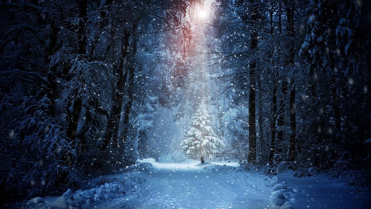 Winter Forest & Piano Calming Music - Will Lift Your Spirits and Calm You !
