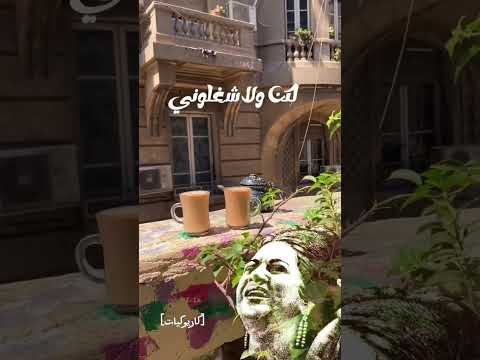 ياما عيون شاغلوني سيرة الحب أم كلثوم