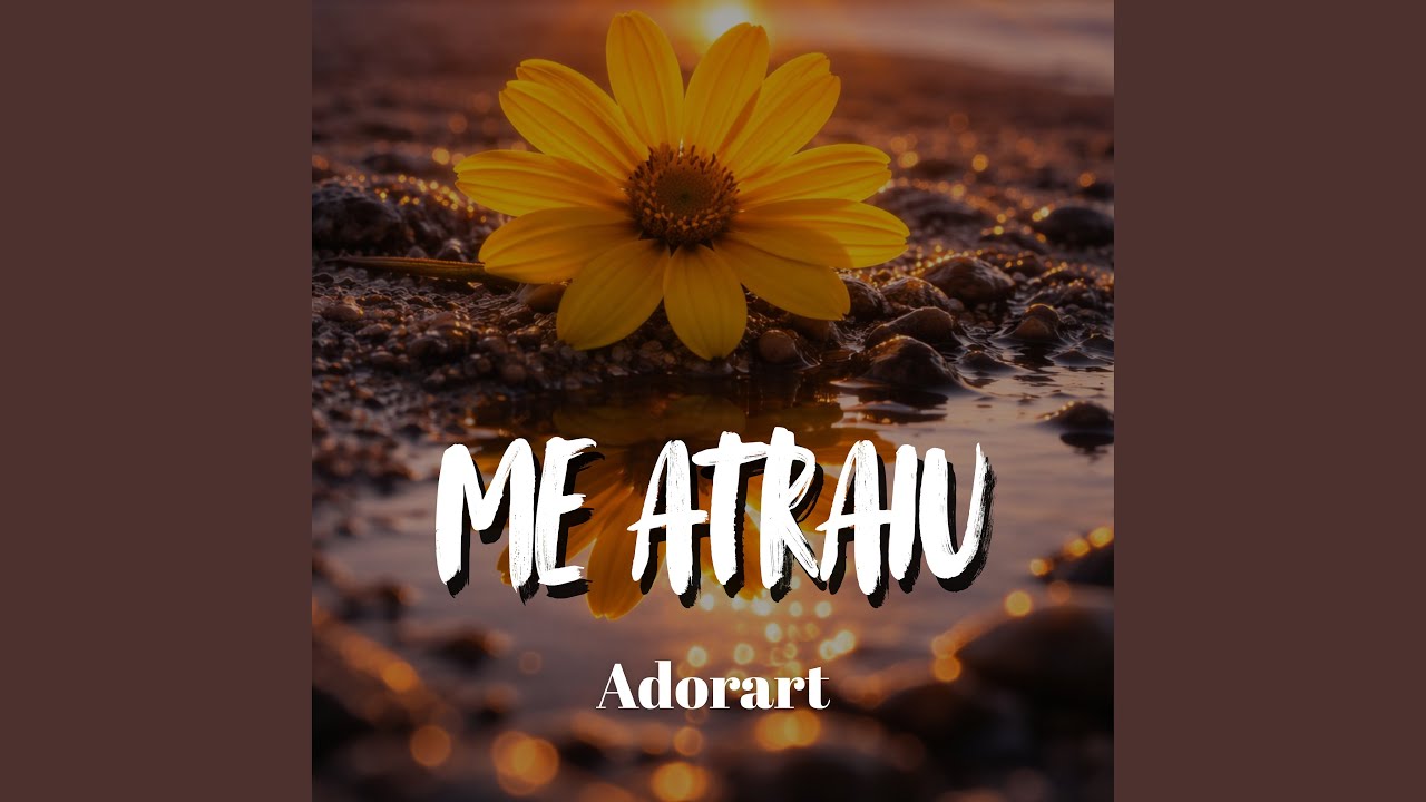 Me Atraiu