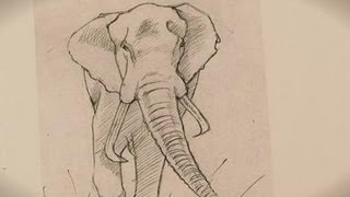 Easy Cool Elephant Drawings 2