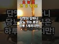여름에 손발 붓고 속 더부룩하세요? 👉 이 과일 하나면 해결됩니다! #복숭아효능 #여름건강 #시니어건강 #50대건강 #부종개선 #장건강 #건강과일 #당뇨식단 #복숭아하루한개 #건강
