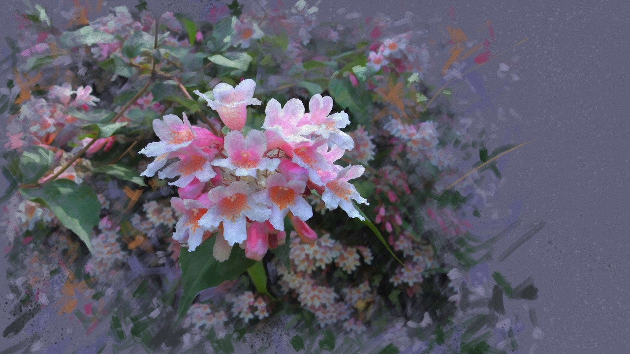 Top Milford Buyer's Broker