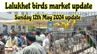 Sunday lalukhet birds & parrot market update/ 12th May 2024 update