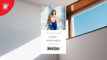 TORSO + STRETCH&GO с Анной Кузнецовой | 24 ноября 2022 | Онлайн-тренировки World Class