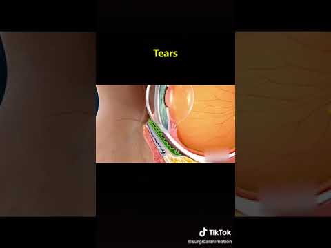 كيف تخرج الدموع