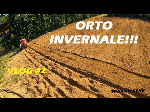 Video: Preparazione Autunnale Della Serra Per L'inverno. Parte 2