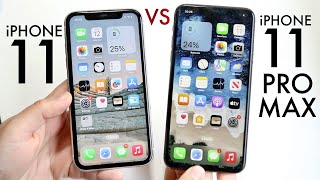 iPhone 11 Vs iPhone 11 Pro Max In 2023! (Comparison) (Review)