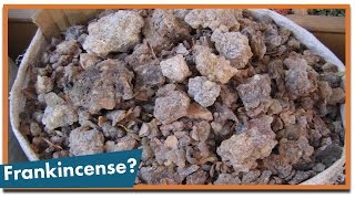 What Are Frankincense and Myrrh?