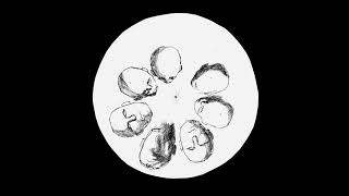 first phenakistoscope test