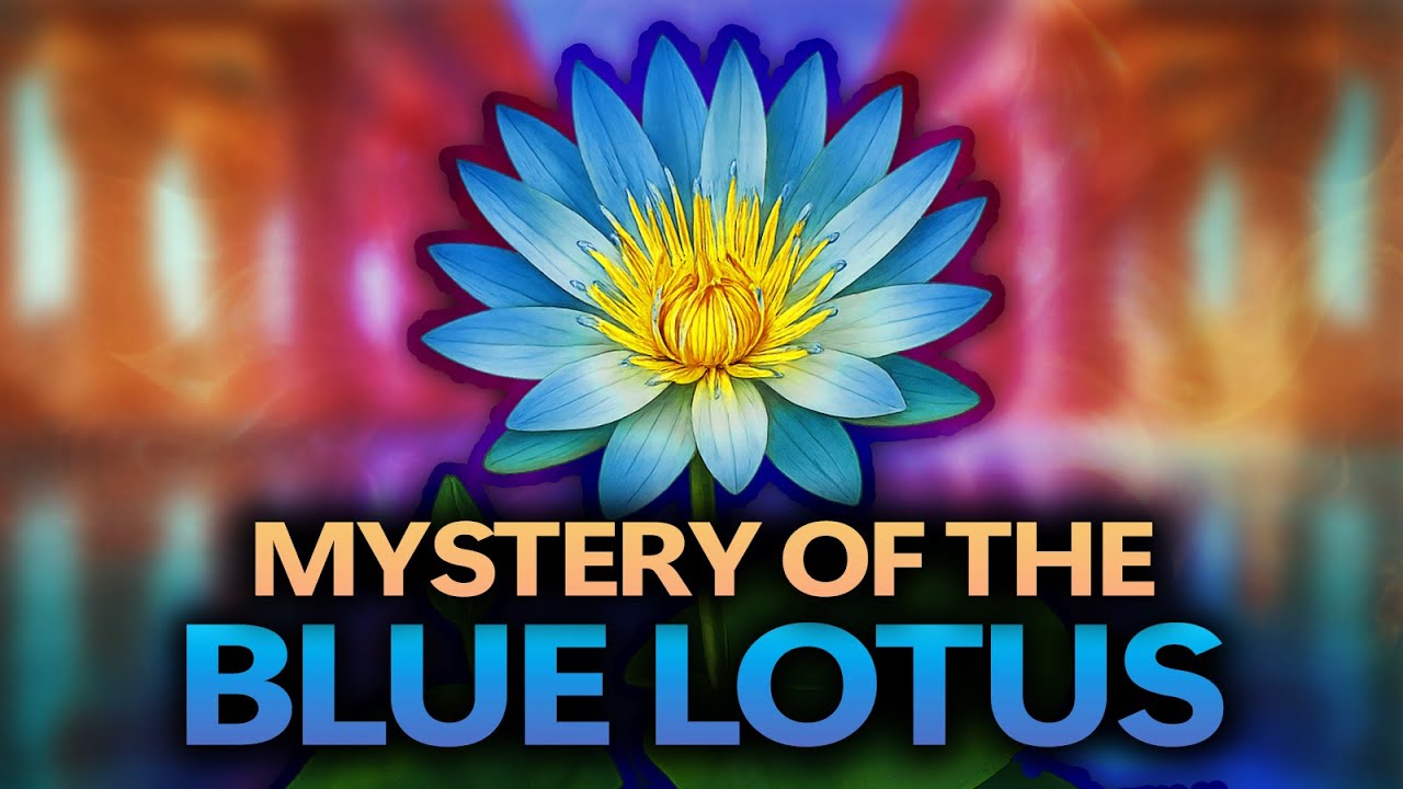 The Egyptian Blue Lotus Is Not What You Think