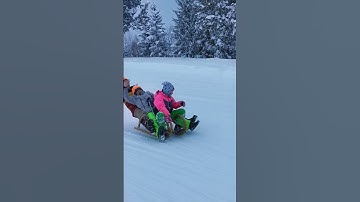 more fun😁 #shorts #sledge #winterinaustria