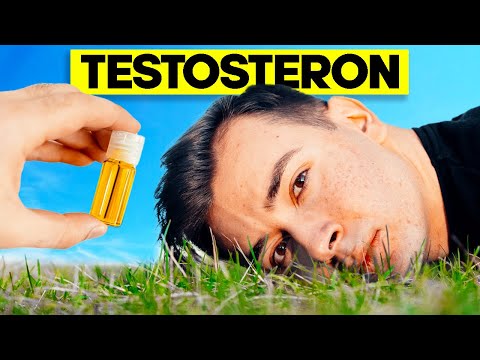 In 30 Tagen Testosteronspiegel Erhöhen | Selbstexperiment