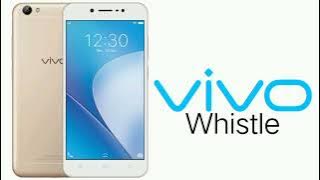 Whistle - Vivo Y55s Notification