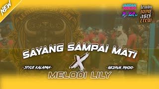 DJ SAYANG SAMPAI MATI BANTENGAN | DJ BANTENGAN SAYANG SAMPAI MATI X DJ MELODY LILY