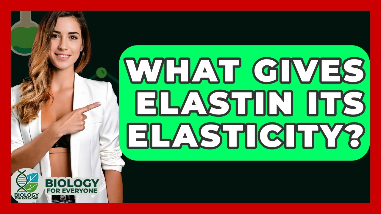 What Gives Elastin Its Elasticity? - Biology For Everyone