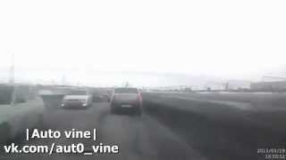 |Auto vine| #31