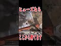 【APEX】ヒューズならここから勝てます #Shorts