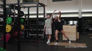 Banded Diagonal Scaption