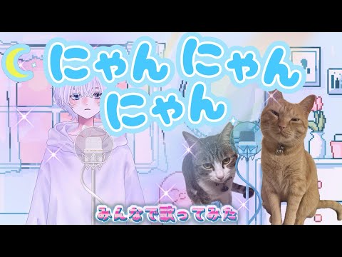 【フル】コレサワ｢にゃんにゃんにゃん｣ 【🎹🎸弾き語り(coverシロクロ)歌ってみた】 