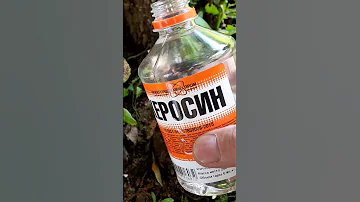 Удаление ПНЕЙ ПРОСТЫМ способом