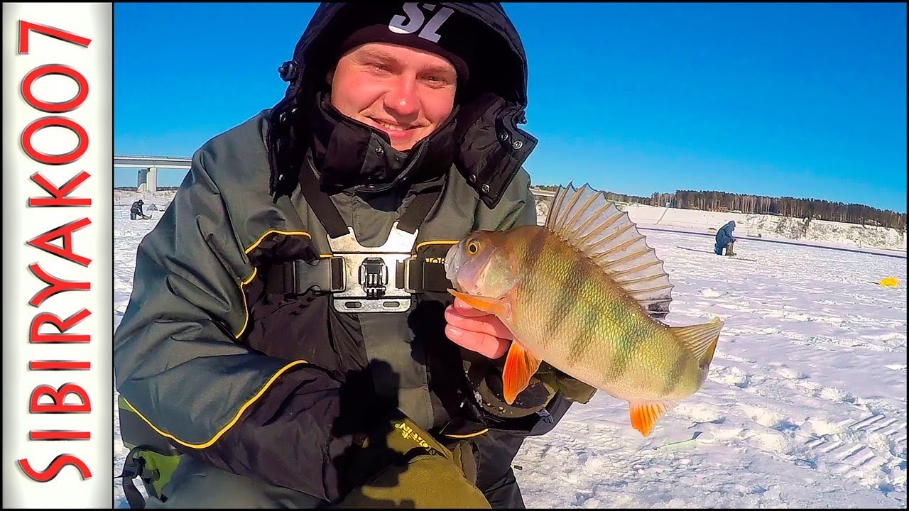 Безмотылка. Плотва и крупный Окунь. Закрытие сезона