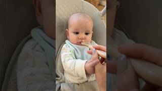 Let The Weaning Begin 5 Months Old