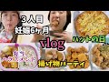 【３人目】妊娠6ヶ月妊娠の日常vlog🤰