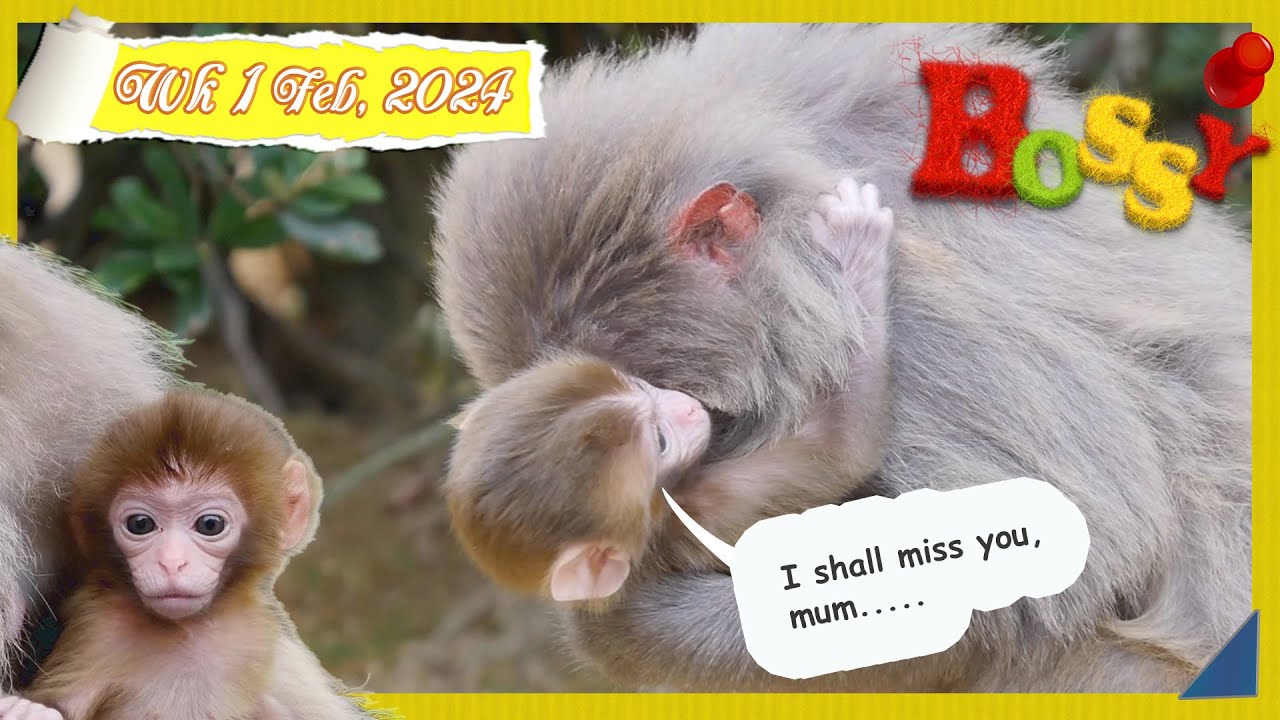 It's time to let go 😢 ❤️ I