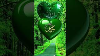 Aalha hu akbar🤲❤️Ramzan Mubarak #islam #facts #ramzan #muhammad #shorts #naat