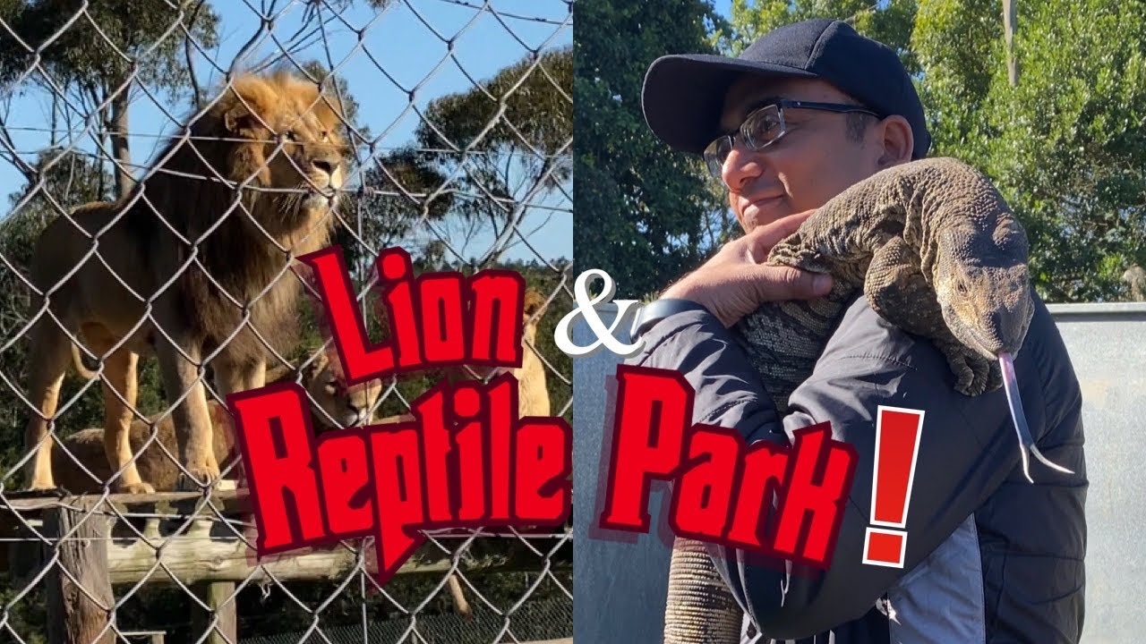 Exploring the Wildlife Wonders: Victoria Heights Lion and Reptile Park