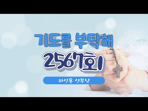 영상썸네일