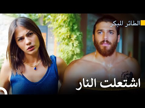 لا أستطيع أن أشيح بنظري عن عضلاتك سلسل الطائر المبكر 