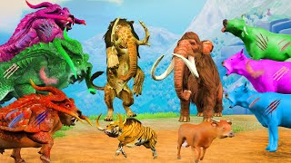 10 Zombie Bulls vs Monster Lion Mammoth vs 10 Zombie Cows Fight Cow Cartoon Bull Woolly Mammoth