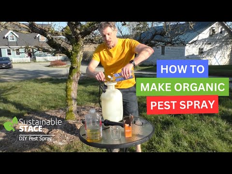 DIY Organic Spray for Fruit Trees