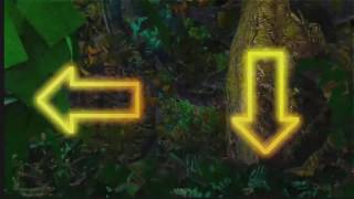 Celebrity Technocolor - Contra Code Profile