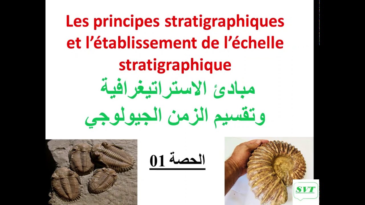 مبادئ الاستراتيغرافية: الدرس مع التمارين للاستعداد للفرض /حصة 01/les principes de la stratigraphie