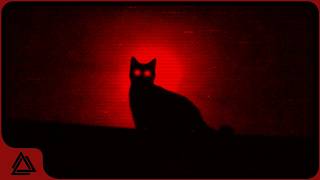 A Estranha Relação de Gatos com Terror