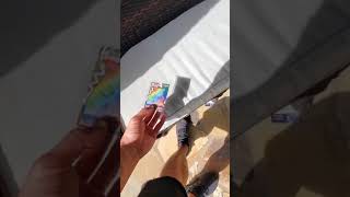 Buying Pokemon Cards Fat Pikachu - Negotiating the Modern Way Pokemon Vlog (Chris Tran Talk ep 1)