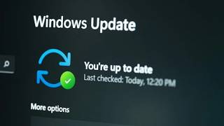 Windows 11 Patch Tuesday Will Hopefully Fix August’s Worst Bugs! Windows 11 Is Finally Fixing This Huge Problem