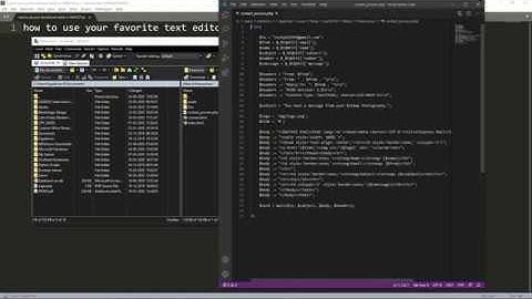 How to use your favourite text editor in winscp as default