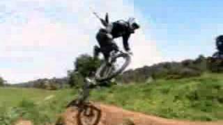 backflip stack News
