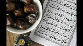 quran recitation qari tawfeeq as sayegh Surah Al Maarij