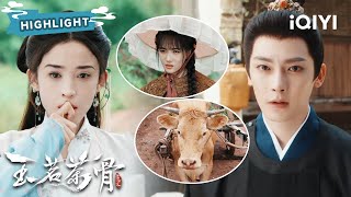 HIGHLIGHT：古力娜扎霸气整治内讧💥 侯明昊深夜潜入房中哄妻，又甜又狠的修罗场名场面| 玉茗茶骨 Glory | ✦爱奇艺东方奇幻✦