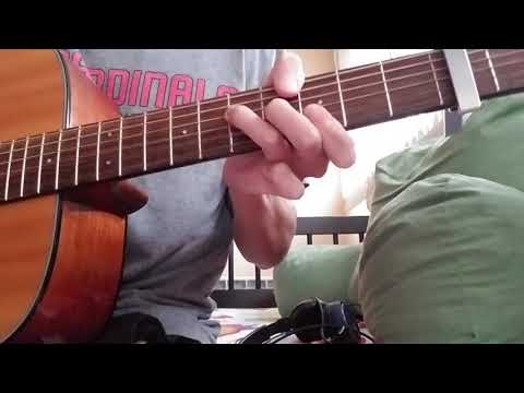 Paint or Pollen - Blind Pilot